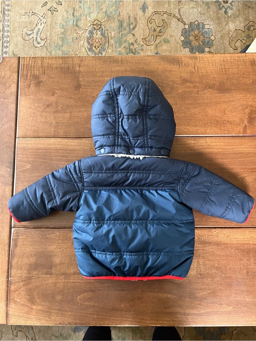 Patagonia Navy Infant Hooded Puffer Jacket with Red Accents